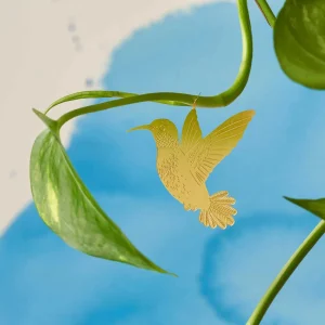 Kolibri