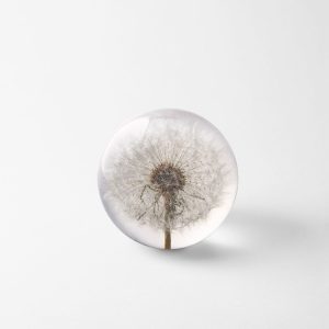 BREVTYNGD FLORA